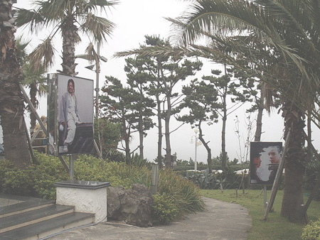 산책로에는 스타의 얼굴들이... 